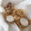 Conure Eggs